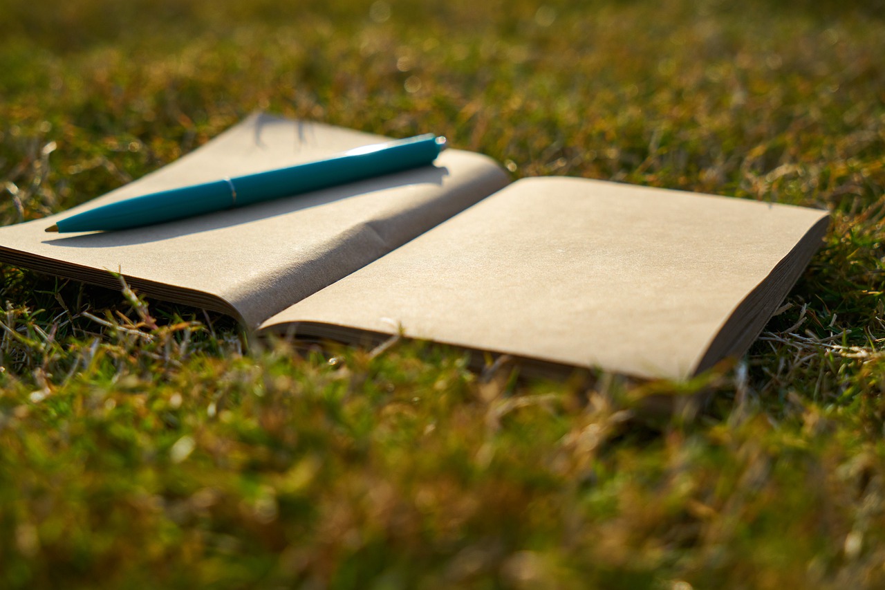 Notebook Pen Is Empty Article  - Engin_Akyurt / Pixabay